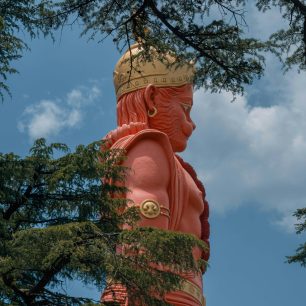 Shimla
