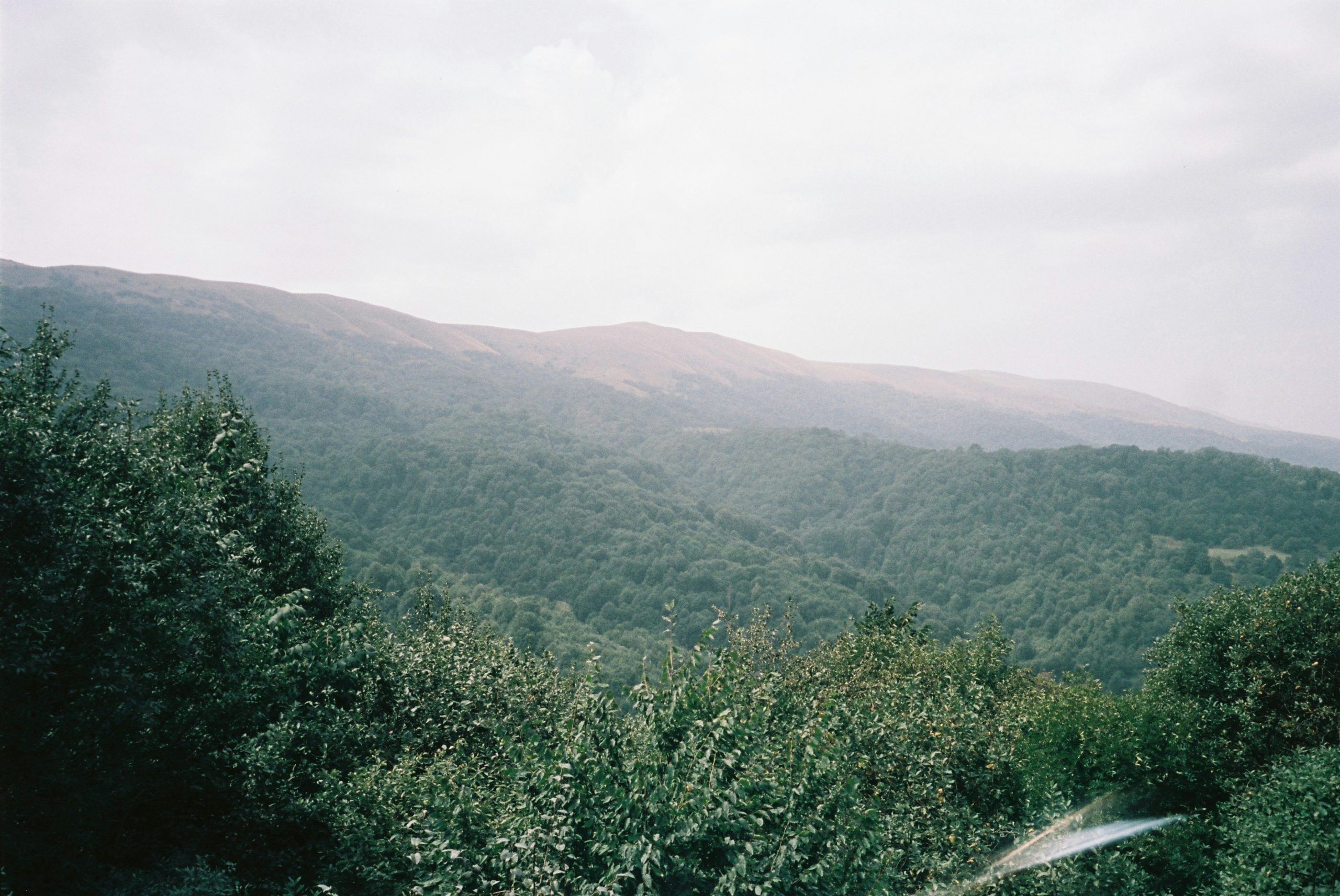 pin valley