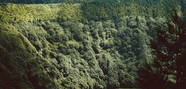 Pin Valley