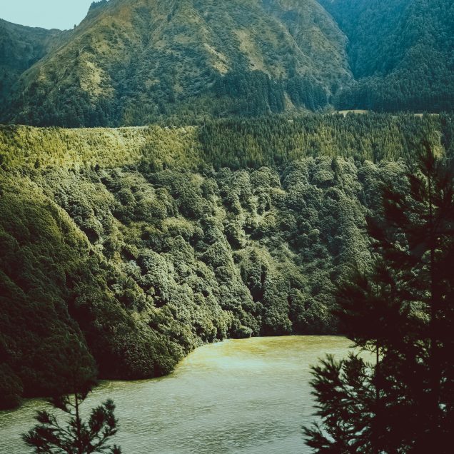 Pin Valley